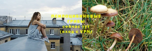 прущая мука Краснотурьинск