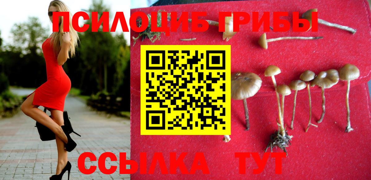 Галлюциногенные грибы Magic Shrooms  как найти   Ноябрьск  Вход с VPN  Псилоцибиновые грибы GOLDEN TEACHER 
