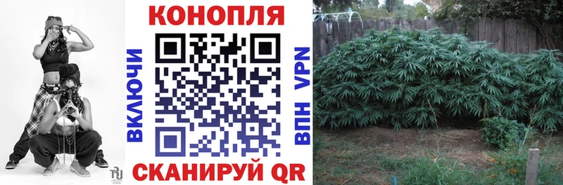 Каннабис VHQ  цены   Ноябрьск 
